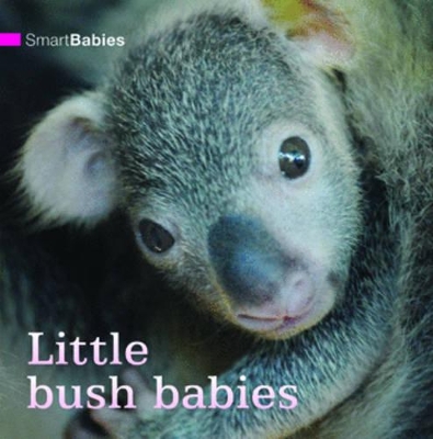 Smart Babies: Little Bush Babies book