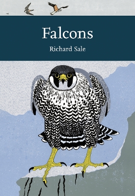 Falcons by Richard Sale
