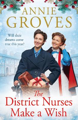 The District Nurses Make a Wish (The District Nurses, Book 5) book