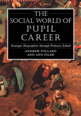 Social World of Pupil Career book