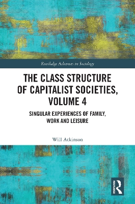 The Class Structure of Capitalist Societies, Volume 4: Singular Experiences of Family, Work and Leisure book