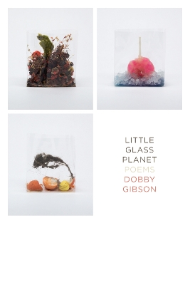 Little Glass Planet: Poems book