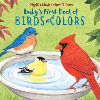 Baby's First Book of Birds & Colors book