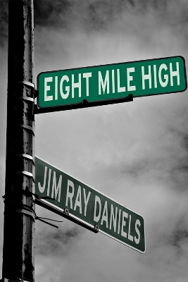 Eight Mile High book