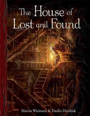 The House of Lost and Found book