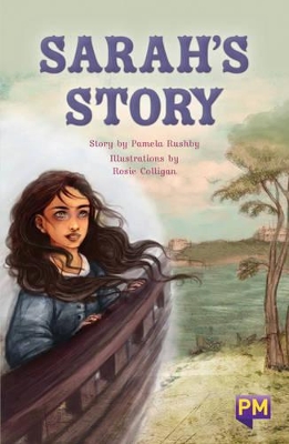Sarah's Story book