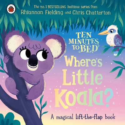 Ten Minutes to Bed: Where's Little Koala?: A magical lift-the-flap book book