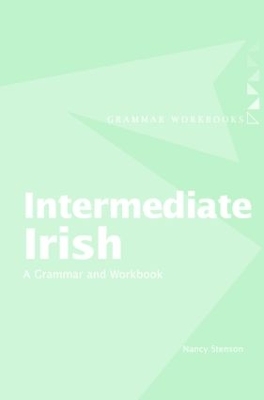 Intermediate Irish by Nancy Stenson