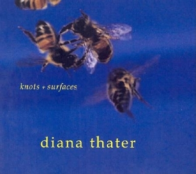 Diana Thater book