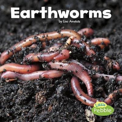 Earthworms by Lisa J Amstutz