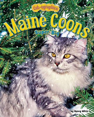 Maine Coons by Nancy White