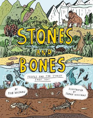 Stones and Bones: Fossils and the stories they tell book