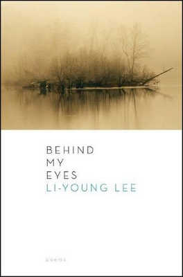 Behind My Eyes book