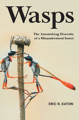 Wasps: The Astonishing Diversity of a Misunderstood Insect book