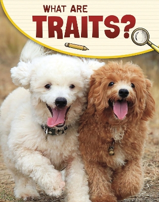 What Are Traits? book
