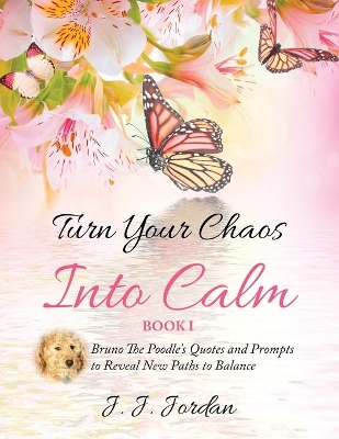 Turn Your Chaos Into Calm book