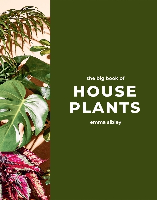 The Big Book of House Plants book