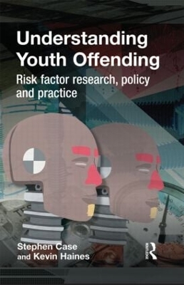 Understanding Youth Offending book