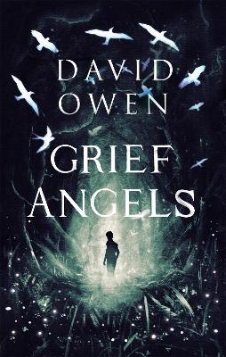 Grief Angels book