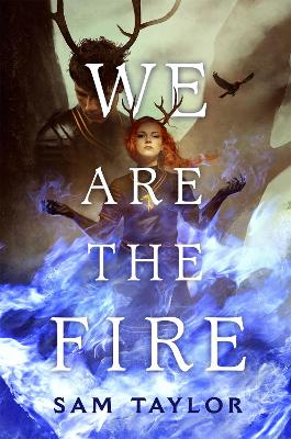 We Are the Fire book