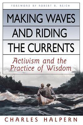 Making Waves and Riding the Currents. Activism and the Practice of Wisdom. book