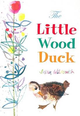 Little Wood Duck book