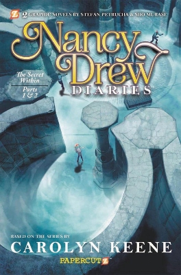 Nancy Drew Diaries Volume 9 book