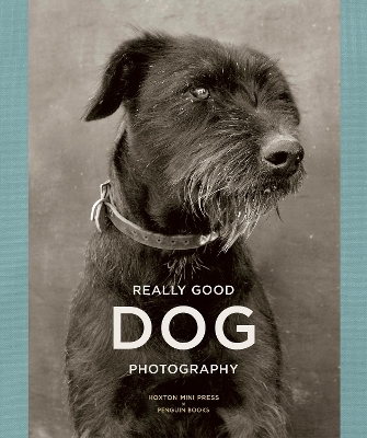 Really Good Dog Photography book