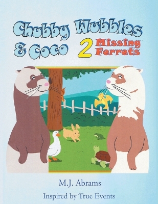 Chubby Wubbles & Coco: 2 Missing Ferrets book