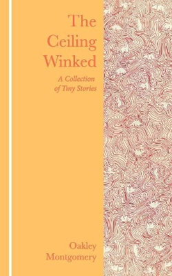 The Ceiling Winked: A Collection of Tiny Stories book