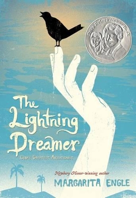 Lightning Dreamer book