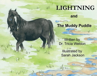 Lightning and the Muddy Puddle book