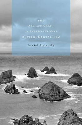 Art and Craft of International Environmental Law book