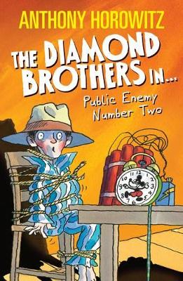 Diamond Brothers in Public Enemy Number Two book