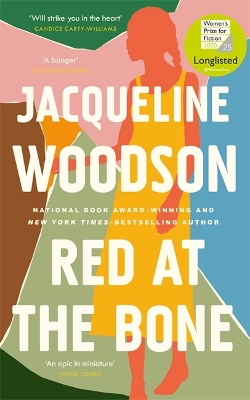 Red at the Bone: Longlisted for the Women's Prize for Fiction 2020 book