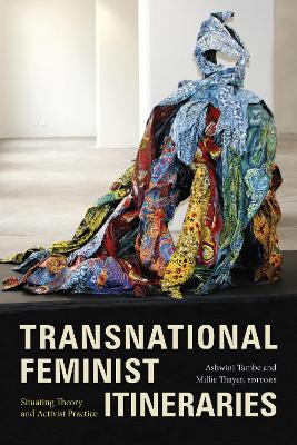 Transnational Feminist Itineraries: Situating Theory and Activist Practice book