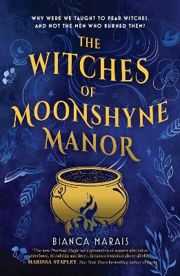 The Witches of Moonshyne Manor book