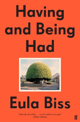 Having and Being Had book