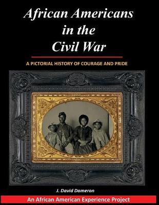 African Americans in the Civil War book