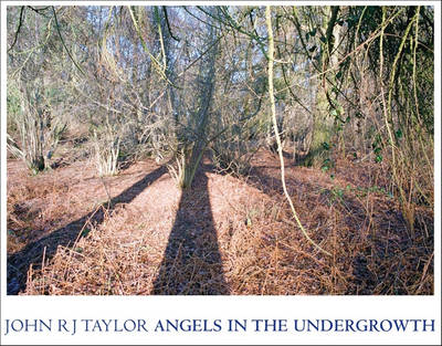 Angels In The Undergrowth book