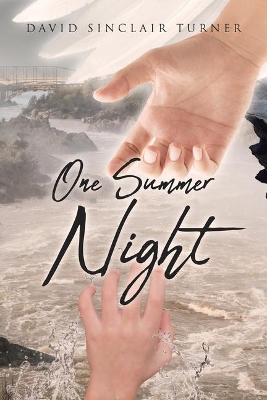 One Summer Night book