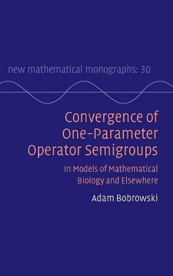 Convergence of One-Parameter Operator Semigroups book