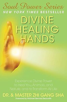 Divine Healing Hands book