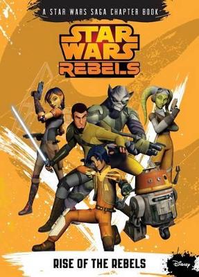 Rise of the Rebels book