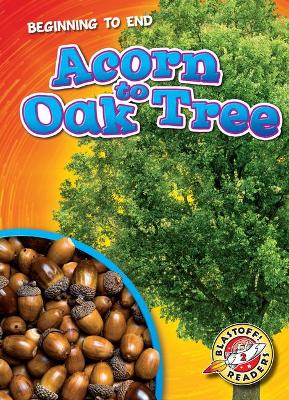 Acorn To Oak Tree book