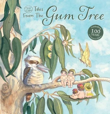 May Gibbs Tales from the Gum Tree PB book