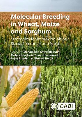 Molecular Breeding in Wheat, Maize and Sorghum: Strategies for Improving Abiotic Stress Tolerance and Yield book