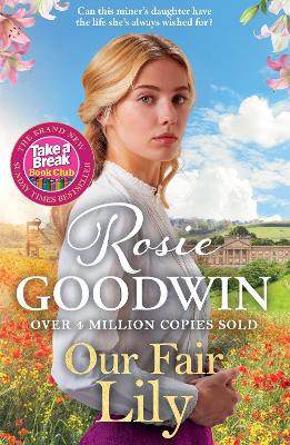 Our Fair Lily: A perfect summer read from the Queen of historical saga book