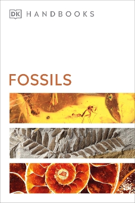 Fossils by David Ward