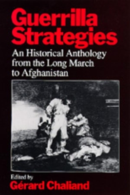 Guerrilla Strategies book